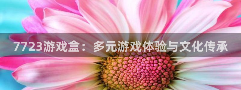 杏鑫注册：7723游戏盒：多元游戏体验与文化传承