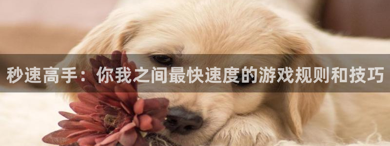 杏鑫总代：秒速高手：你我之间最快速度的游戏规则和技巧