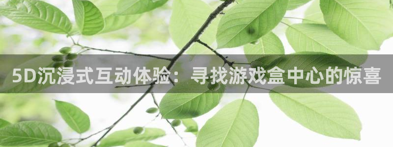 杏鑫主管