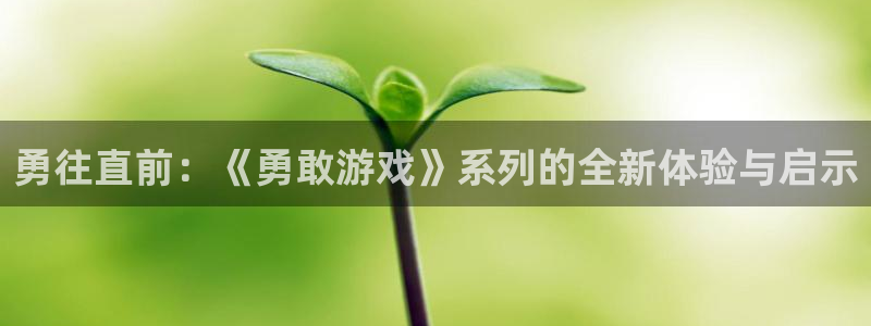 杏鑫手机客户端官网