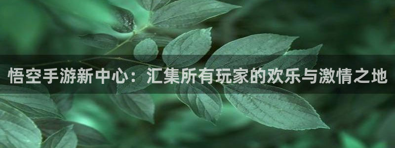 杏鑫平台直属哪个公司