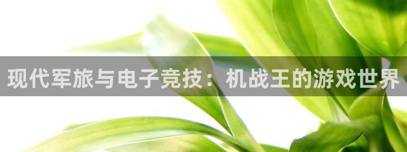 杏鑫平台怎么样