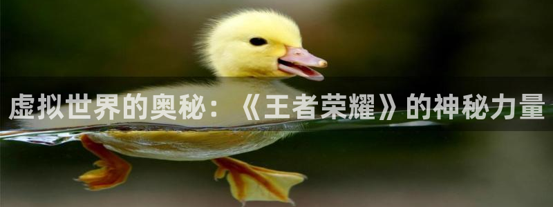 杏鑫平台登陆