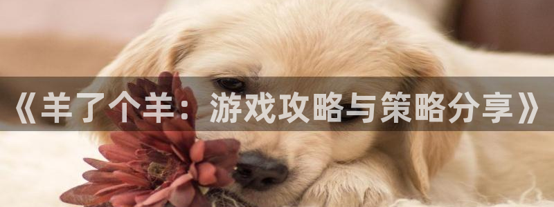 杏鑫手机客户端：《羊了个羊：游戏攻略与策略分享》