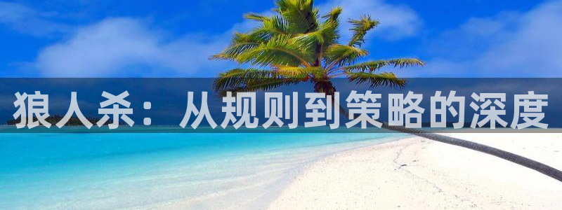 杏鑫代理注册资金多少：狼人杀：从规则到策略的深度