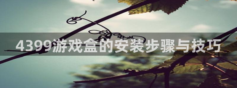 杏鑫测速注册：4399游戏盒的安装步骤与技巧