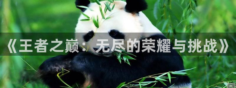 杏鑫代理登录中心官网：《王者之巅：无尽的荣耀与挑战》